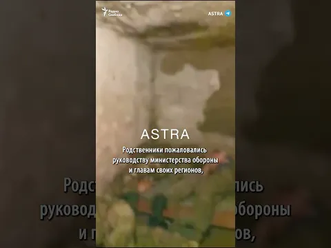 В подвал за отказ воевать | #shots