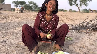 Desert life in Pakistan ||Traditional Life ||Village Life ||Camels people  ||Traditional culture