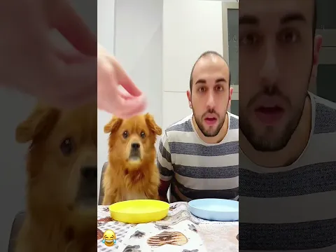 When your friend eats like a vacuum but you’re just here. #pet #funny #dog #foryou #asmr #shorts