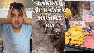 My first vlog mai ye kya ho gaya