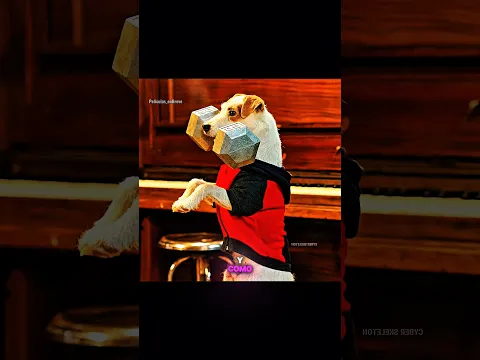 Este perro tímido se convirtió en un luchador peligroso. | #shorts #youtubeshorts