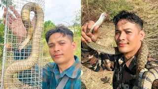 A Man Played with Two Ferocious Snakes - How To Catch King Snake