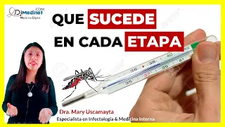 🟢 DESGLOSANDO las FASES del DENGUE: ¿CÓMO IDENTIFICAR CADA ETAPA? ▶ Dra. Mary Uscamayta 👩‍⚕️