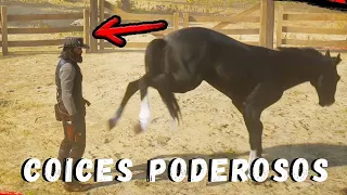97% DAS PESSOAS NÃO SABEM DISSO! COICES E MORDIDAS DOS CAVALOS! AS MAIS IMPRESSIONANTES DO MUNDO!