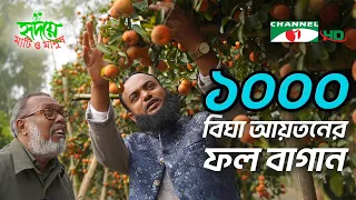 হযরতের ১০০০ বিঘা আয়তনের ফল বাগান | Shykh Seraj | Channel i |