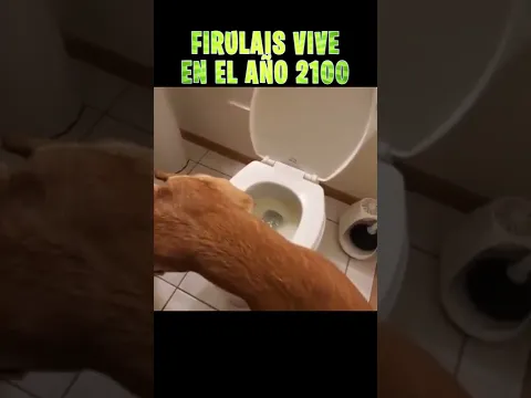¡NO CREERAS LO QUE HAC ESTE FIRULAIS! *TEDEJARA SIN PALABRAS* #Shorts #Viral