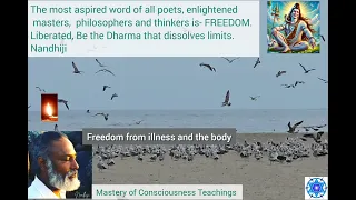 FREEDOM the most aspired desire of human is in Being. Nandhiji
