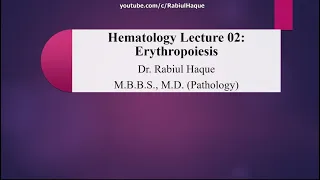 Erythropoiesis