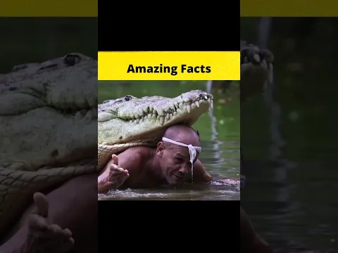 Top 3 helping animals 🤣🤣😮 @MRINDIANHACKER  @CrazyXYZ  || #shorts || #FactBeast
