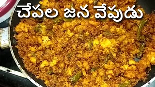చేపల జన వేపుడు / fish egg fry recipe / chepala jana fry telugu / చేపల జన ఎలా శుభ్రం చేసుకోవాలి ?