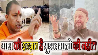 गाय की इज़्ज़त है मुसलमानो की नहीं?? Asaduddin Owaisi V/S Yogi Adiyanath | एक बार ज़रूर सुने