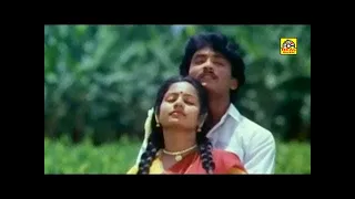 நான் ஏரிக்கரை மேலிருந்து | Naan Erikarai Melirunthu Video Song HD | Chinna Thayi Movie | Ilayarajaa