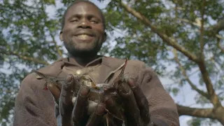 Induction Video Gorongosa National Park, Mozambique