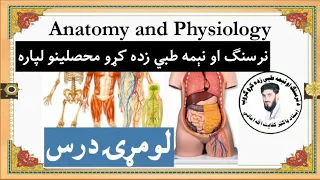 1 Introduction of Anatomy and Physiology |For Nursing and Pre Medical Student| د نرسنګ محصلینو لپاره