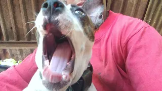 Titan Beastok Titan, Beastok, Big, Bank, TikTok, Views,