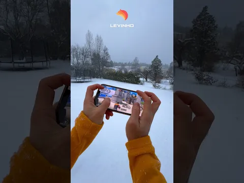 Levinho in Snow
