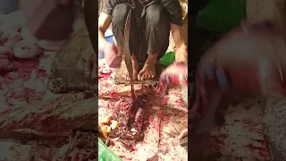 মাছ কাটার দক্ষতা দেখতে চোখ রাখুন । Enamul insight