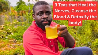 3 Powerful Herbal Teas to Calm the Nerves, Cleanse the Blood & Detoxify the Body Naturally 🌿💪🏾