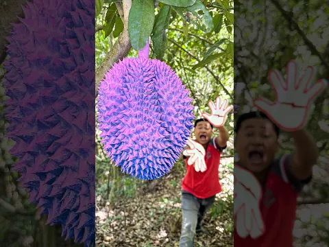 Survival Skills Clever Fruit Picking Hacks in the Deep Forest