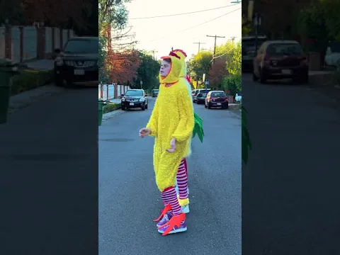 CHICKEN SHUFFLE! 🐤🐤🐔🐔🐥🐥 Williams Fam & Merrick #Shorts