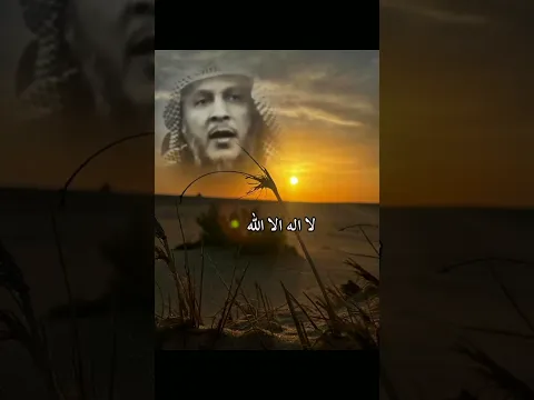 ٣١ أكتوبر ٢٠٢٤