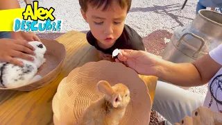 ANIMALES DE LA GRANJA