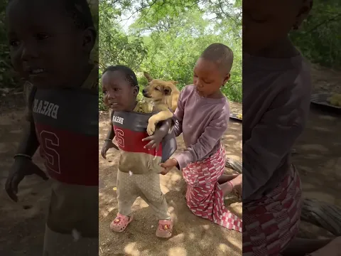 Cutest Surprise! 🐶 Small Puppy Hides in Toddler's Shirt! #africa #vilagelife #funny #animallife