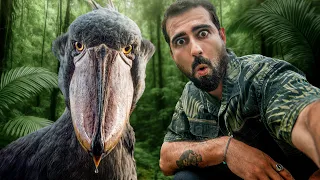 Encontré al Ave más Aterradora del Mundo - Así es la Vida Salvaje en Uganda