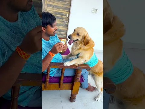 मेरे डॉग ने आज किसको क्यू ऊपर बुलाया था😱 #funnydogs #shorts