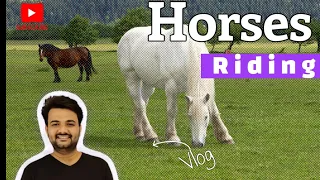 राजस्थान का एकमात्र राष्ट्रीय घोड़ा अनुसंधान केन्द्र One and only Horse Research center in Rajsthan