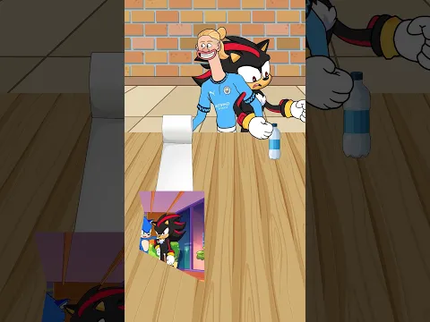 The matching picture challenge with Sonic and Shadow Family