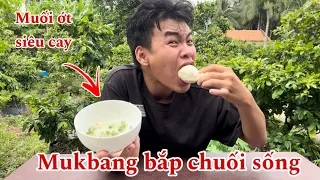 Ăn bắp chuối sống tại vườn - Mukbang bắp chuối sống | Xuân Đông Vlog
