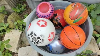 Menemukan Banyak Bola Unik: Ada Bola Panda, Kelinci, Bintang, dan Basket