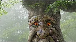 funny Cartoon Video,Youtube live cartoon
