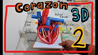 Maqueta del Corazon 3D (parte 2)