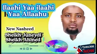 Sheikh Juneydi Sheikh Ahmed || Ilaahi Yaa Ilaahi Yaa Allaahu || #zikrii #AfaanOromoo #islam #muslim 