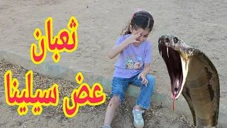 ثعبان شرير هجم على سيلينا وكان رح ياكلها  😭 شو صار معنا بل أخير؟؟ #رفيف_وريا 