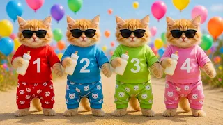 Dudi Dudi Dam Dam | 🍼1️⃣2️⃣3️⃣4️⃣5️⃣ Numbers Song with Little kittens #dudidudidam 