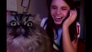 Daily Internet Dose #4