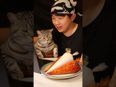 Budalk noodles and chicken #cat #food #cooking