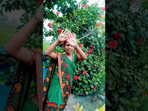 चला धान रोपे धनिया शिवानिया#sort #hindi#keşfetbeniöneçıkar