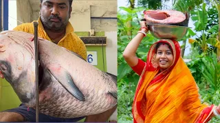 16.8 কেজি ওজনের কাতলা মাছের পেটি রান্না | Big Fish Cutting & Cooking |