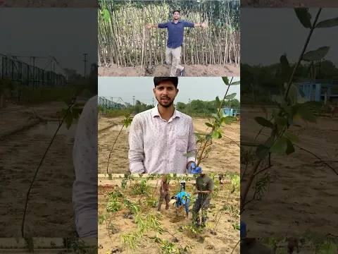 🚨 Every Subscribe Plants a Tree 🌳 Join the Green Revolution! 💚 #shorts #flora #plants