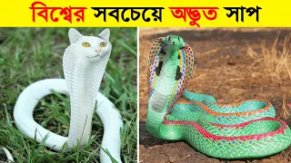 এমন সাপ দেখার জন্যও কপাল লাগে || ১০ টি অদ্ভুত এবং বিরল সাপ যা শুধু ভাগ্যবানরা দেখতে পায় #snakes