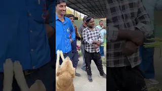 What is the fault of this poor?#shortvideo #youtubeshorts #cooking #funny #food #short #shortsfeed