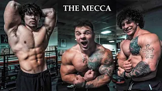 GOLD’S GYM TAKEOVER (Silly Lifter Edition)