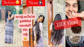 How to Grow hair fast in sinhala🫣 කරාබු නැට්ටෙන් ඉක්මනින් කොන්ඩේ වවා ගමු👀 #haircare #vlog #vloger