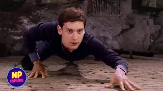 Peter Descubre Sus Poderes | El Hombre-Araña (2002) | Now Español