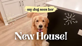 My Dog Sees Her New Home for the First Time — Her Reaction Melted My Heart 😍