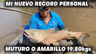 AMARILLO O MUTURO 19.80Kgs SIMICUYO 16kgs - PESCA EN BOLIVIA - RIO ICHILO -  AVENTURA HACIA EL IBABO